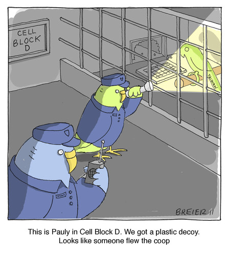 Cartoon: Jail Break (medium) by noodles tagged jail,parakeets,prison,escape