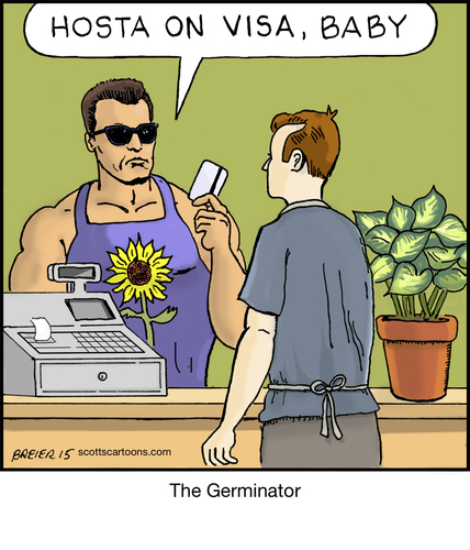 Cartoon: The Germinator (medium) by noodles tagged terminator,hasta,la,vista,baby,arnold,schwarzenegger,movie,flower,purchase