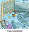 Cartoon: Whale Sex Ed (small) by noodles tagged spermwhale,ocean,blowhole,humpback,noodles