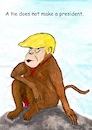 Cartoon: Is it a president ? (small) by Stefan von Emmerich tagged trump,dump,donald,tie,ape,stupid,animal,doofkopf,karikatur,cartoon