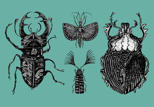 Cartoon: Bugs (medium) by Battlestar tagged bugs,insekten,insects,nature,natur,zeichnung,illustration,insekten,tiere,natur,illustration,käfer,hirschkäfer