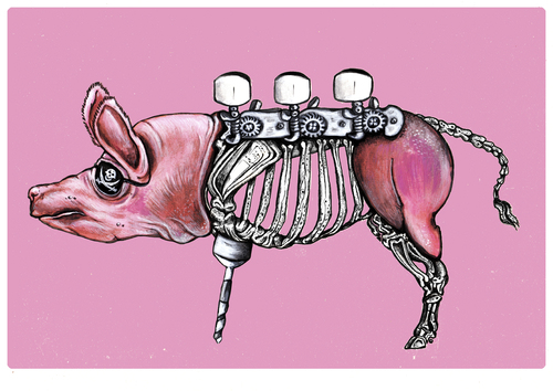 Cartoon: Piratenschwein (medium) by Battlestar tagged anatomie,körper,fiction,illustration,fantasy,pirat,technik,pig,animals,tiere,schwein,schwein,tier,tiere,piraten,anatomie,illustration,illustrationen,pink,rosa,skelett,fantasie,piratenschwein,technik,karte,sau,musik