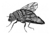 Cartoon: fly (small) by Battlestar tagged fly fliege insects insekten natur illustration bw