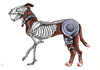 Cartoon: Hard Drive Dog (small) by Battlestar tagged illustration hund dog animals tiere skeleton skelett festplatte nature natur
