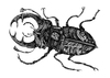 Cartoon: Hirschkäfer (small) by Battlestar tagged insects insekten käfer bug beetle hirschkäfer natur illustration