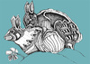 Cartoon: rabbits (small) by Battlestar tagged rabbits hasen love liebe