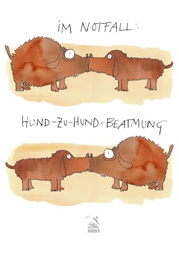 Cartoon: Hund zu Hund (medium) by Koppelredder tagged hund,mund,notfall,beatmung,mundzumund,erstehilfe,hund,mund,notfall,beatmung,mundzumund,erstehilfe