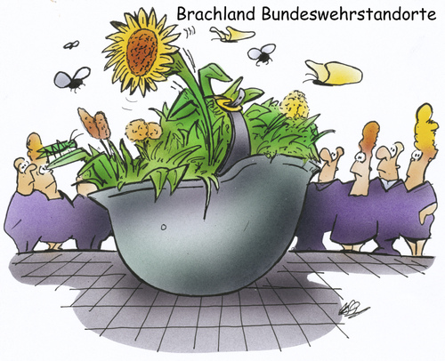 Cartoon: Bundeswehrstandorte (medium) by HSB-Cartoon tagged brachland,sonnenblume,grüne,politik,bundeswehrstandort,standort,soldat,bw,helm,bundeswehr,airbrush,hsb,karikatur,cartoon,bundeswehr,helm,soldat,standort,bundeswehrstandort,grüne,sonnenblume