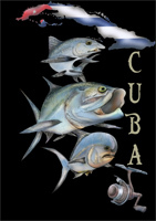 Cartoon: cuba fishing (medium) by HSB-Cartoon tagged tarpon,fish,sea,ocean,saltwater,karibik,caribean,kuba,cuba,permit,fishing,angeln,meeresfisch,meer,ozean,angelsport,airbrush,airbrushillustration,fischillustration