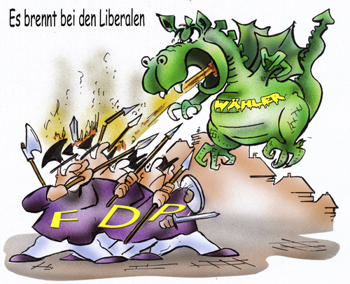 FDP Wähler
