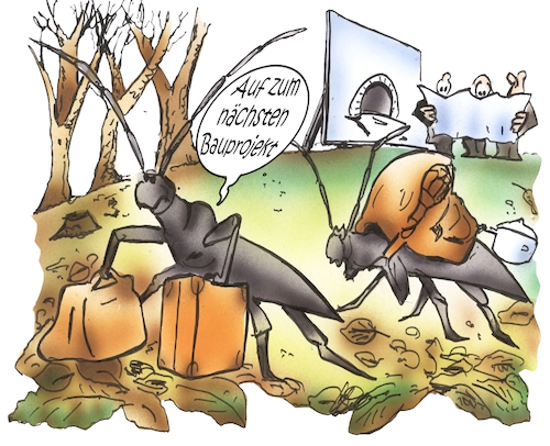 Cartoon: Heldbockkäfer (medium) by HSB-Cartoon tagged heldbockkäfer,artenschutz,insektenschutz,naturschutz,umwweltschutz,bauprojekte,baustopp,naturzerstörung,karikatur,insekten,käfer,waldnaturschutz,nabo,bund,umweltschützer,naturschützer,heldbockkäfer,artenschutz,insektenschutz,naturschutz,umwweltschutz,bauprojekte,baustopp,naturzerstörung,karikatur,insekten,käfer,waldnaturschutz,nabo,bund,umweltschützer,naturschützer