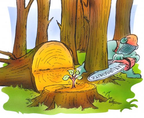 Cartoon: Naturschutzmaßnahme (medium) by HSB-Cartoon tagged baum,natur,wald,waldarbeiter,säge,naturschutz,natur,umwelt,baum,bäume,wald,säge,naturschutz,natürschützer,pflanzen,rodung,abholzung,rohstoffe,ressourcen,zerstörung,leben,erde,menschen,umweltzerstörung