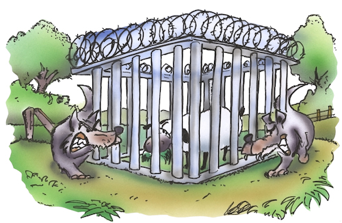 Cartoon: Schutz vor dem Wolf (medium) by HSB-Cartoon tagged wolf,wolfsriss,raubtier,wolfschutzzaun,wolfsrudel,schafe,schäfer,schafherde,heidschnucken,texelschaf,schafschutz,herdenschutz,käfig,einsperren,opfer,täter,cartoon,wolf,wolfsriss,raubtier,wolfschutzzaun,wolfsrudel,schafe,schäfer,schafherde,heidschnucken,texelschaf,schafschutz,herdenschutz,käfig,einsperren,opfer,täter,cartoon