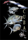 Cartoon: cuba fishing (small) by HSB-Cartoon tagged cuba,kuba,caribean,karibik,saltwater,ocean,sea,fish,tarpon,permit,fishing,angeln,meeresfisch,meer,ozean,angelsport,airbrush,airbrushillustration,fischillustration