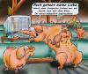 Cartoon: moderne Liebe unter Nutzvieh (small) by HSB-Cartoon tagged tiere schweine stall landwirtschaft agrar liebe sex