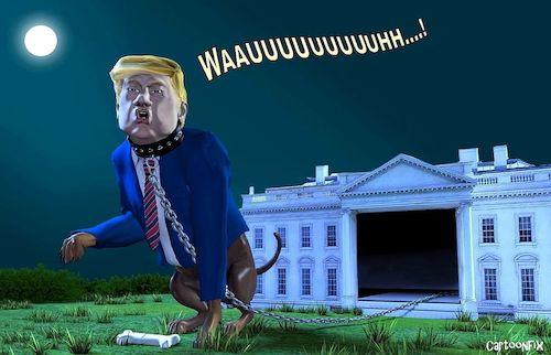 Cartoon: Who Let The Dog Out?! (medium) by Cartoonfix tagged trump,who,let,the,dog,out