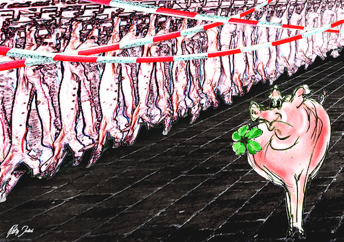 Cartoon: Schwein gehabt! (medium) by jakpet tagged corona,lockdown,glück,unglück,fleischfabrik,hotspot