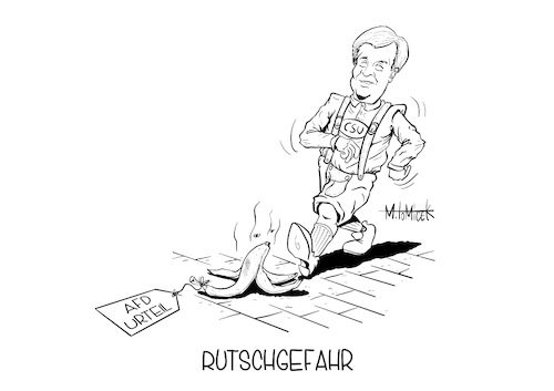 Cartoon: AfD Urteil (medium) by Mirco Tomicek tagged afd,urteil,horst,seehofer,csu,bayern,interview,karikatur,cartoon,tomicek,banane,gericht,afd,urteil,horst,seehofer,csu,bayern,interview,karikatur,cartoon,tomicek,banane,gericht