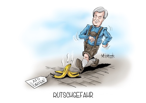 Cartoon: AfD Urteil (medium) by Mirco Tomicek tagged afd,urteil,horst,seehofer,csu,bayern,interview,karikatur,cartoon,tomicek,banane,gericht,afd,urteil,horst,seehofer,csu,bayern,interview,karikatur,cartoon,tomicek,banane,gericht