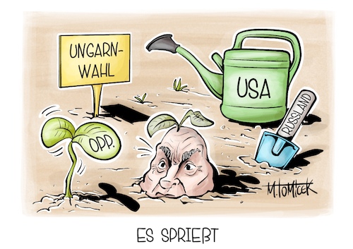 Cartoon: Es Sprießt (medium) by Mirco Tomicek tagged ungarn,wahl,parlamentswahl,wahlen,wähler,viktor,orban,opposition,usa,russland,wahlkampf,karikatur,cartoon,pressekarikatur,mirco,tomicek,ungarn,wahl,parlamentswahl,wahlen,wähler,viktor,orban,opposition,usa,russland,wahlkampf,karikatur,cartoon,pressekarikatur,mirco,tomicek