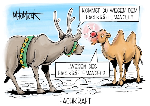 Cartoon: Fachkraft (medium) by Mirco Tomicek tagged fachkraft,fachkräfte,fachkräftemangel,mangel,eckpunkte,kabinett,zuzug,arbeit,arbeiten,arbeitslosigkeit,arbeitslos,ausland,qualifiziert,weihnachten,rentier,rudolph,winter,weihnachtsmann,kamel,tiere,cartoon,karikatur,pressekarikatur,mirco,tomicek,fachkraft,fachkräfte,fachkräftemangel,mangel,eckpunkte,kabinett,zuzug,arbeit,arbeiten,arbeitslosigkeit,arbeitslos,ausland,qualifiziert,weihnachten,rentier,rudolph,winter,weihnachtsmann,kamel,tiere,cartoon,karikatur,pressekarikatur,mirco,tomicek