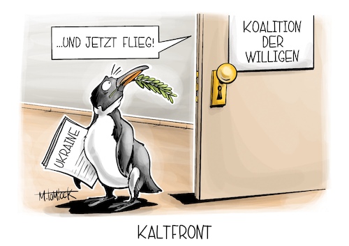Kaltfront