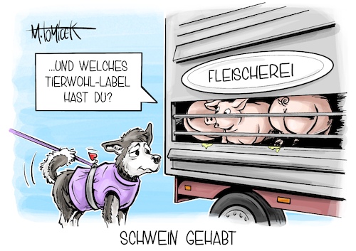 Cartoon: Schwein gehabt (medium) by Mirco Tomicek tagged cem,özdemir,eckpunkte,tierwohl,label,tier,wohl,tierwohllabel,tiere,schweine,schwein,tierhaltung,kennzeichnung,fleisch,fleischerei,wurst,fleischindustrie,cartoon,karikatur,pressekarikatur,mirco,tomicek,cem,özdemir,eckpunkte,tierwohl,label,tier,wohl,tierwohllabel,tiere,schweine,schwein,tierhaltung,kennzeichnung,fleisch,fleischerei,wurst,fleischindustrie,cartoon,karikatur,pressekarikatur,mirco,tomicek