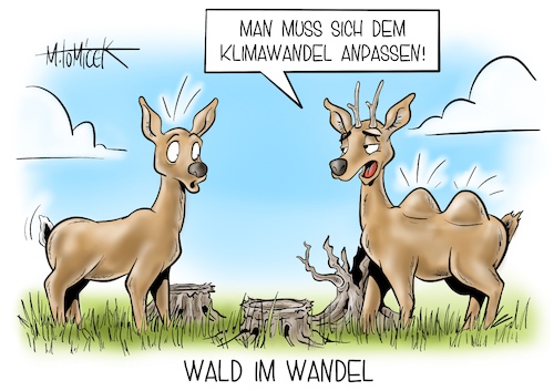 Wald im Wandel