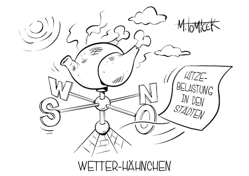 Wetter-Hähnchen Wetter-Hähnchen