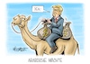 Arabische Mächte
