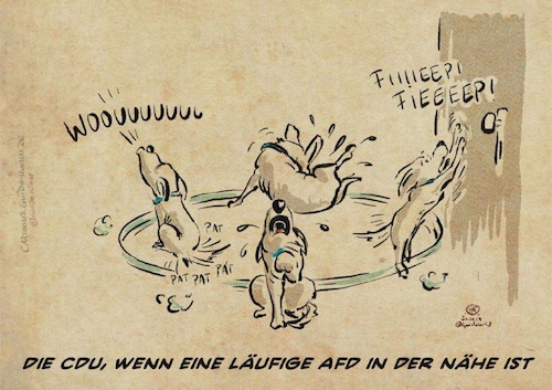 Cartoon: Die CDU und die läufige AFD (medium) by Guido Kuehn tagged afd,cdu,deutschland,die,afd,cdu,deutschland