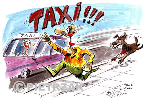 Cartoon: Taxi (medium) by Darek Pietrzak tagged humour,auto,taxi,dog