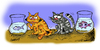 Cartoon: The cats (small) by ismailozmen tagged cat fish