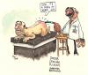 Cartoon: Dr. Duckins - Duck Proctologist (small) by dotmund tagged duck,proctologist,doctor,nurse
