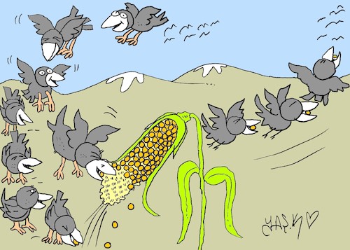 Cartoon: equally (medium) by yasar kemal turan tagged equally
