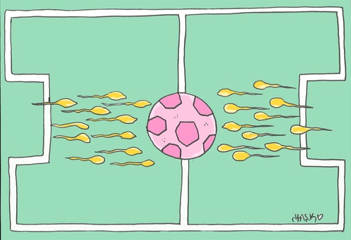 Cartoon: love for football (medium) by yasar kemal turan tagged love,for,football,sperm,ball,egg