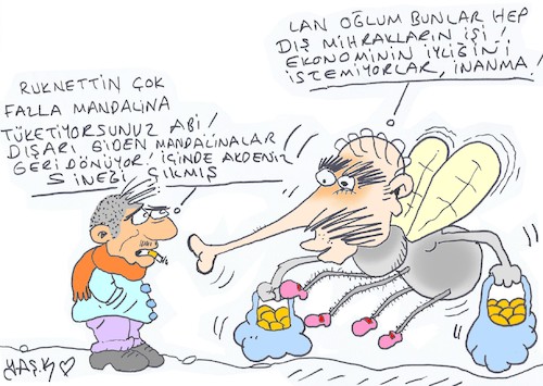 Cartoon: tangerine also appeared fly (medium) by yasar kemal turan tagged tangerine,also,appeared,fly