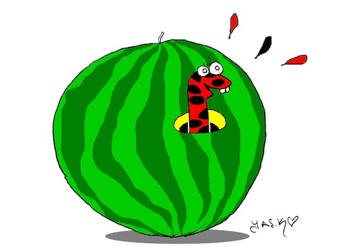Cartoon: watermelon love (medium) by yasar kemal turan tagged watermelon,love