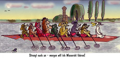 Cartoon: Wasserski fahren (medium) by Lutz-i tagged tiere,wasser,tierheim