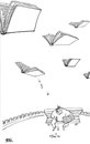 Cartoon: books wings birds (small) by BONIL tagged books,wings,birds,reading,bonil