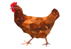 Cartoon: Chicken (small) by alesza tagged animal,chicken,huhn,bird,illustration