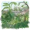 Cartoon: Dschungelgarten (small) by alesza tagged dschungelgarten dschungel garten jungle garden nature landscape green scenery environment