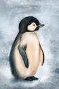 Cartoon: Pinguin (small) by alesza tagged penguin illustration drawing nature antarctica antarctic cold ice winter bird ipad procreate digitalart digitalpainting painting
