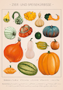 Cartoon: Pumpkins and ornamental pumpkins (small) by alesza tagged pumpkins kürbis kuerbis helloween illustration procreate ipadart poster vintage