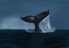 Cartoon: Whale (small) by alesza tagged whale,wal,flosse,sea,meer,ocean,blue