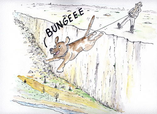 Cartoon: bungee (medium) by Slawek11 tagged dog,animals