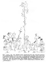 Cartoon: Schützenfest (small) by helmutk tagged tradition
