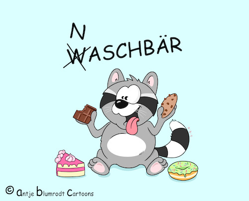 Der ?aschbär Der ?aschbär