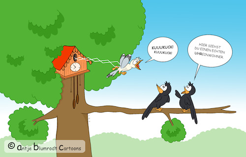 Cartoon: Kuckuck (medium) by a-b-c tagged kuckuck,kuckucksuhr,schwarzwald,uhr,ureinwohner,vogel,wald,zwitschern,kuckuck,kuckucksuhr,schwarzwald,uhr,ureinwohner,vogel,wald,zwitschern