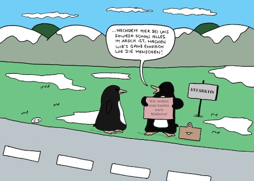 Cartoon: Zum Saufen nach Mallorca (medium) by CartoonMadness tagged klimawandel,antarktis,pinguine,saufen,mallorca